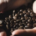 สมาชิกหมายเลข 4225532