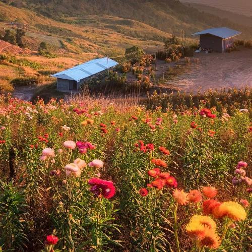 สมาชิกหมายเลข 2212814