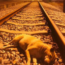 สมาชิกหมายเลข 4598124