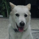 สมาชิกหมายเลข 1181401