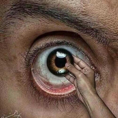 สมาชิกหมายเลข 4442137