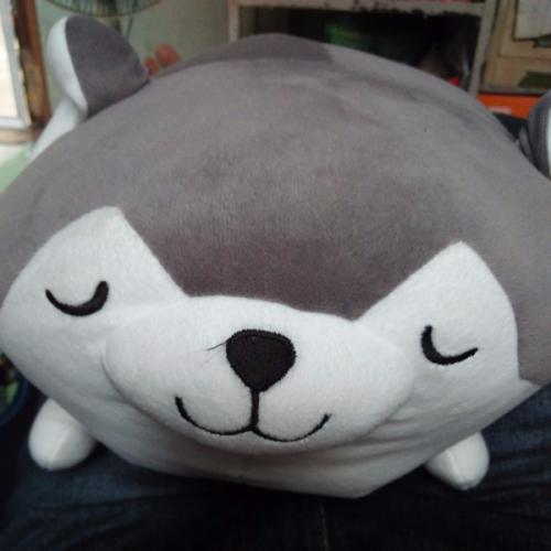 สมาชิกหมายเลข 2548088