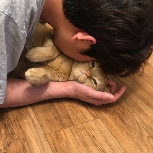 สมาชิกหมายเลข 5858040