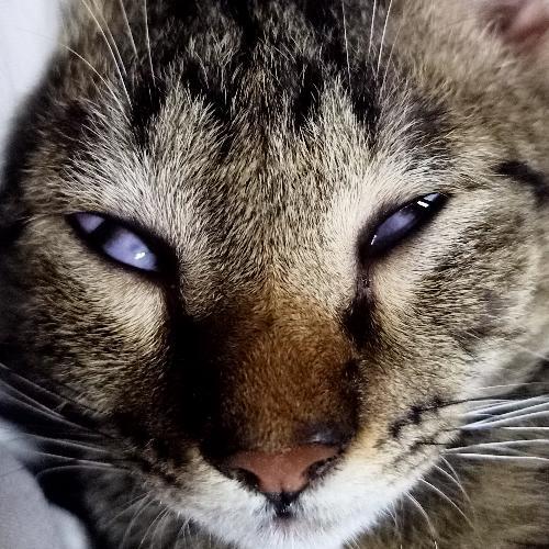 สมาชิกหมายเลข 6430306