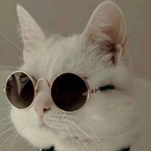 สมาชิกหมายเลข 6458792