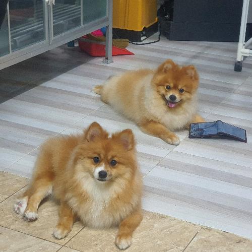 สมาชิกหมายเลข 5464852