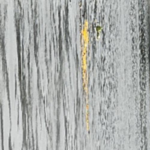 สมาชิกหมายเลข 7901900