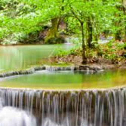 สมาชิกหมายเลข 8278289