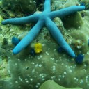 สมาชิกหมายเลข 2700186