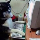 สมาชิกหมายเลข 841238