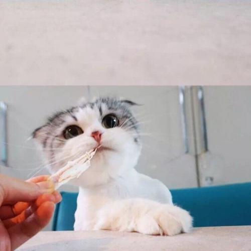 สมาชิกหมายเลข 1125017