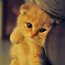 สมาชิกหมายเลข 3721559