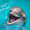 สมาชิกหมายเลข 4617539