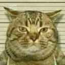 สมาชิกหมายเลข 4972767