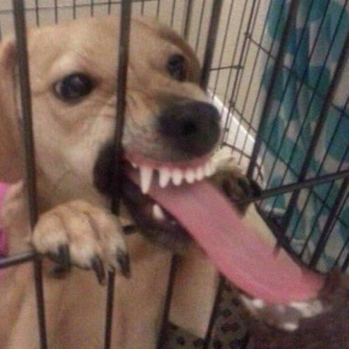 สมาชิกหมายเลข 4812951