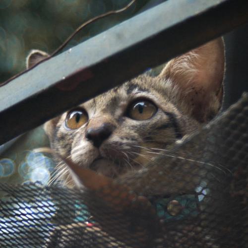 สมาชิกหมายเลข 3770911