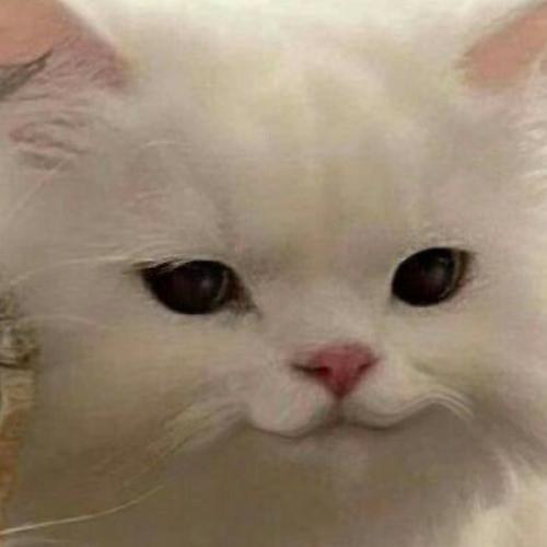 สมาชิกหมายเลข 7957225