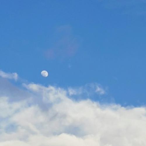 สมาชิกหมายเลข 8981064