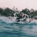 สมาชิกหมายเลข 3539779