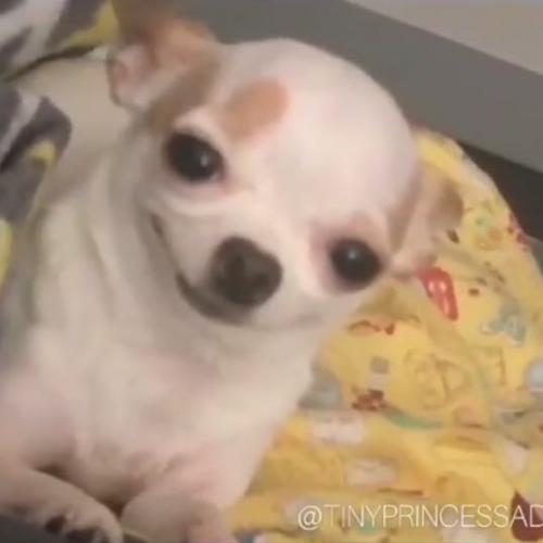 สมาชิกหมายเลข 3155968