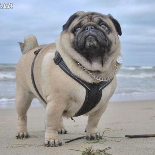 สมาชิกหมายเลข 3801765