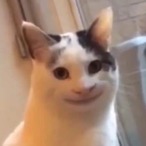 สมาชิกหมายเลข 4973509