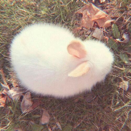 สมาชิกหมายเลข 5368638