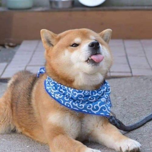 สมาชิกหมายเลข 4878256