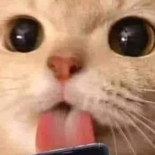 คิกาปู้