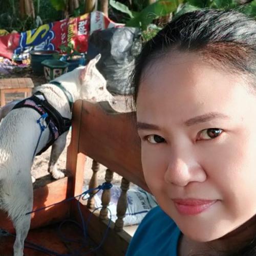 สมาชิกหมายเลข 6179773