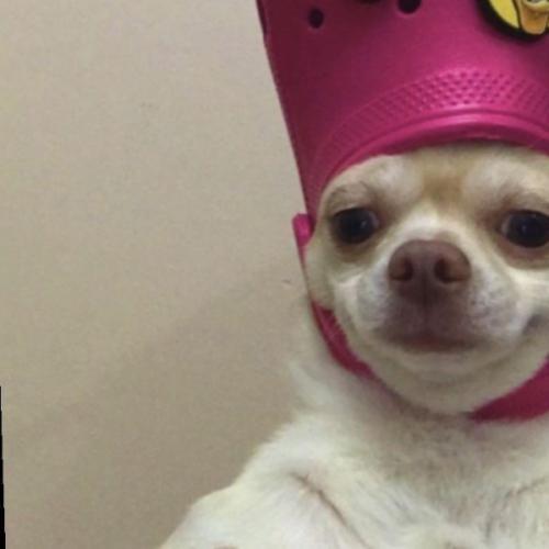 สมาชิกหมายเลข 7065742