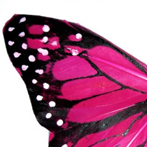 สมาชิกหมายเลข 7162466