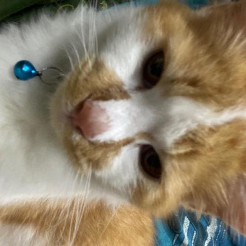 สมาชิกหมายเลข 6244184