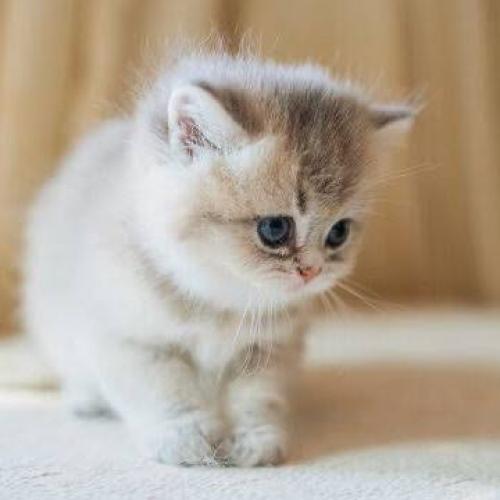 สมาชิกหมายเลข 8725611