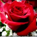 สมาชิกหมายเลข 3762683