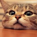 สมาชิกหมายเลข 3762858