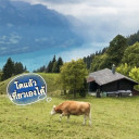 โตแล้วเที่ยวเองได้