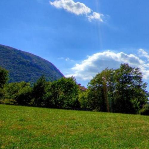 สมาชิกหมายเลข 1045626