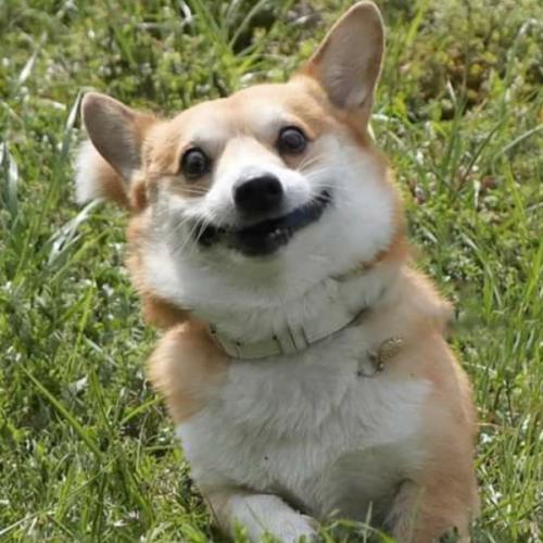 สมาชิกหมายเลข 5860020