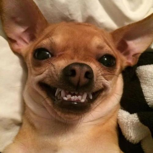 สมาชิกหมายเลข 6914941