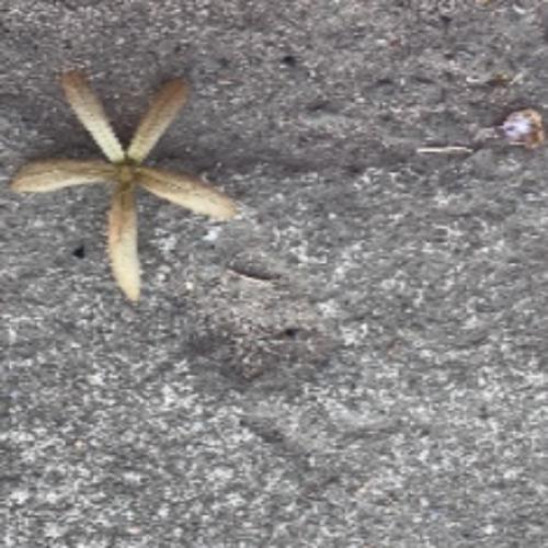 สมาชิกหมายเลข 6316550