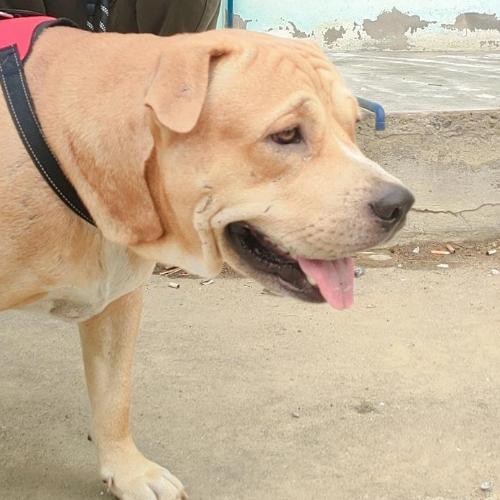 สมาชิกหมายเลข 8338119