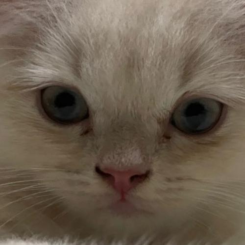 สมาชิกหมายเลข 8983333