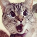 สมาชิกหมายเลข 3542584