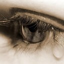 สมาชิกหมายเลข 3763530