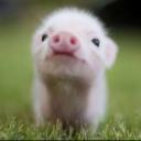 สมาชิกหมายเลข 4017287