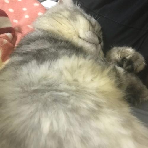 สมาชิกหมายเลข 4900553