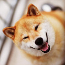 สมาชิกหมายเลข 4974097