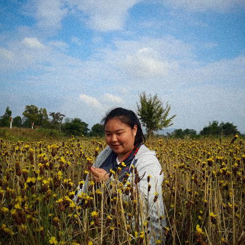 สมาชิกหมายเลข 4974280