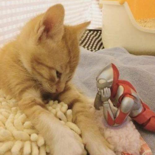 สมาชิกหมายเลข 5361564